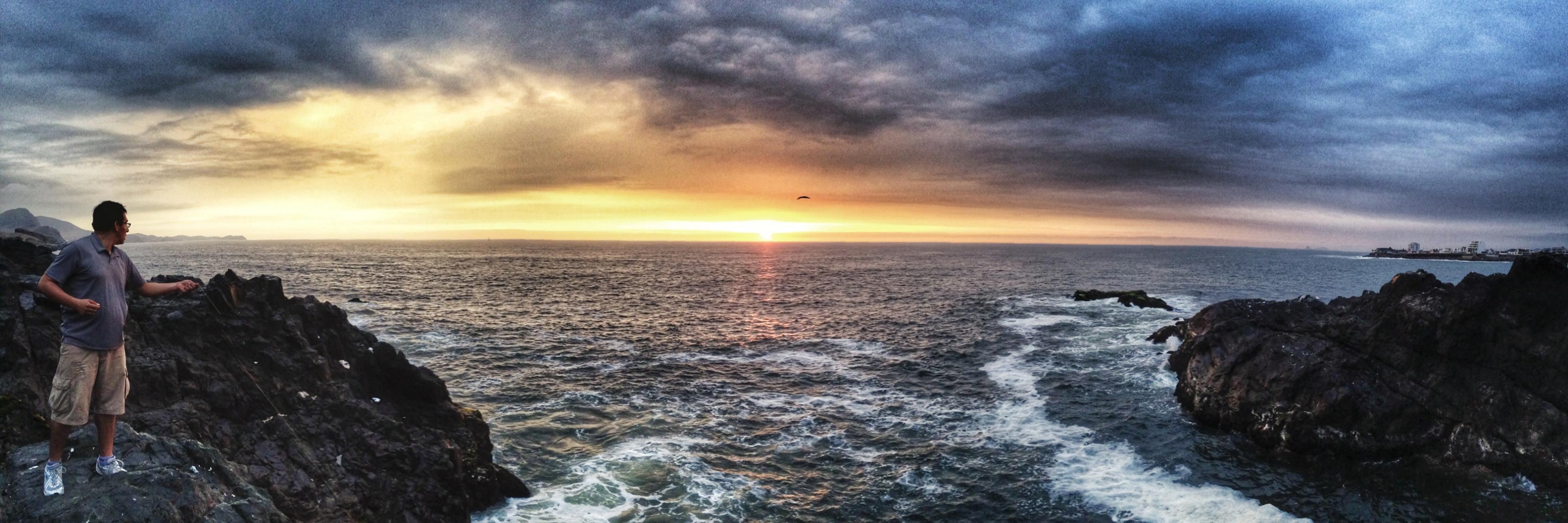 Guillermo Palacios banner