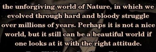 Caligula_self Profile Banner