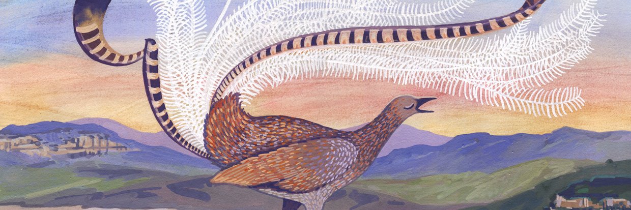 Jodie McLeod banner