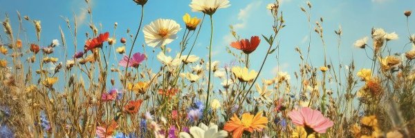 deniseschuurx's profile banner image