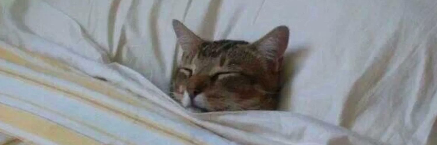 mr_tee_krub's profile banner image