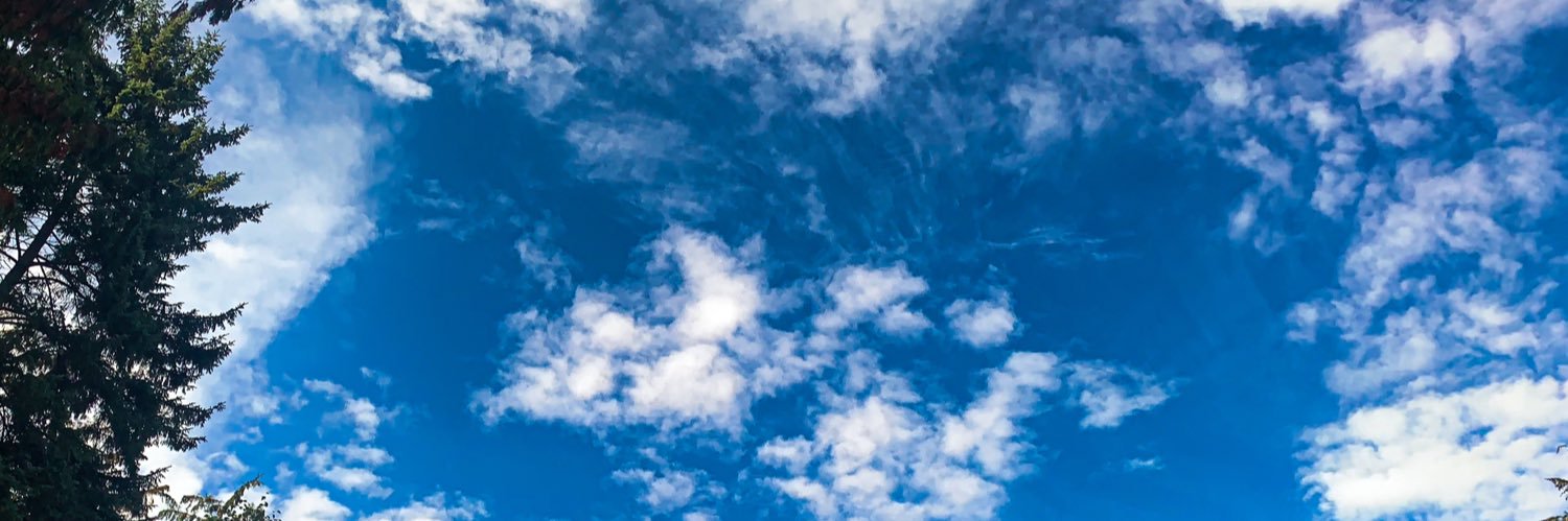 Remifeb's profile banner image