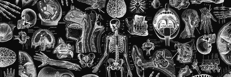 studyjosue's profile banner image
