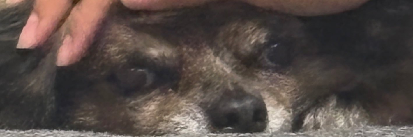 ememlf's profile banner image