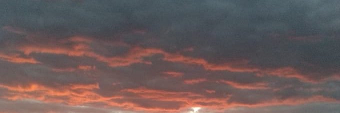 davidj 🫧🌵🏳️‍🌈 banner