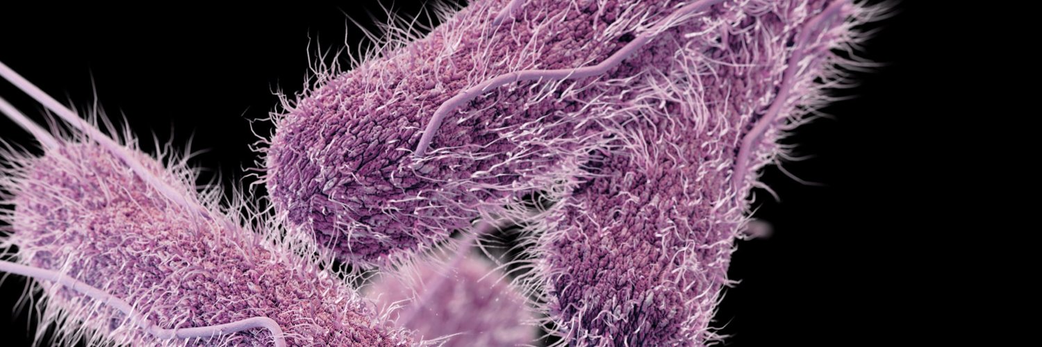 saveantibiotics's profile banner image