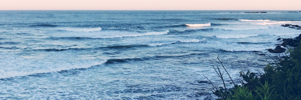 paulanicole's profile banner image