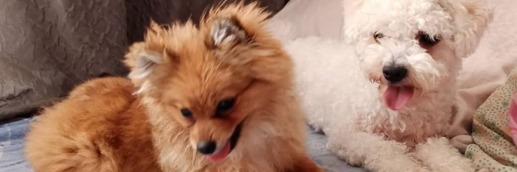 Karen Rodriguez Edwards. banner