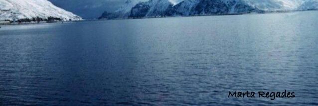 veloceano2005's profile banner image