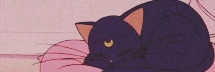 Cocralie's profile banner image