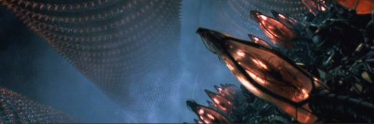 King of the Free banner