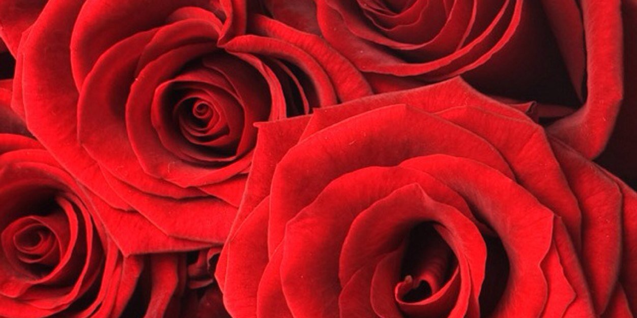 GigiDK's profile banner image