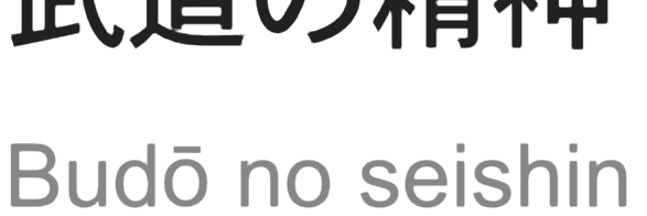 SANTI R L banner
