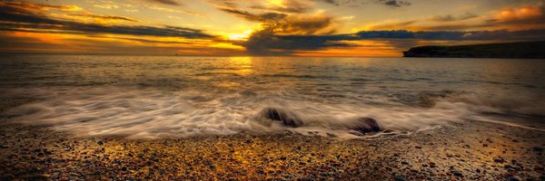 sofirouz5ee Profile Banner