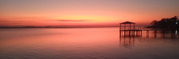 AllegToni Profile Banner