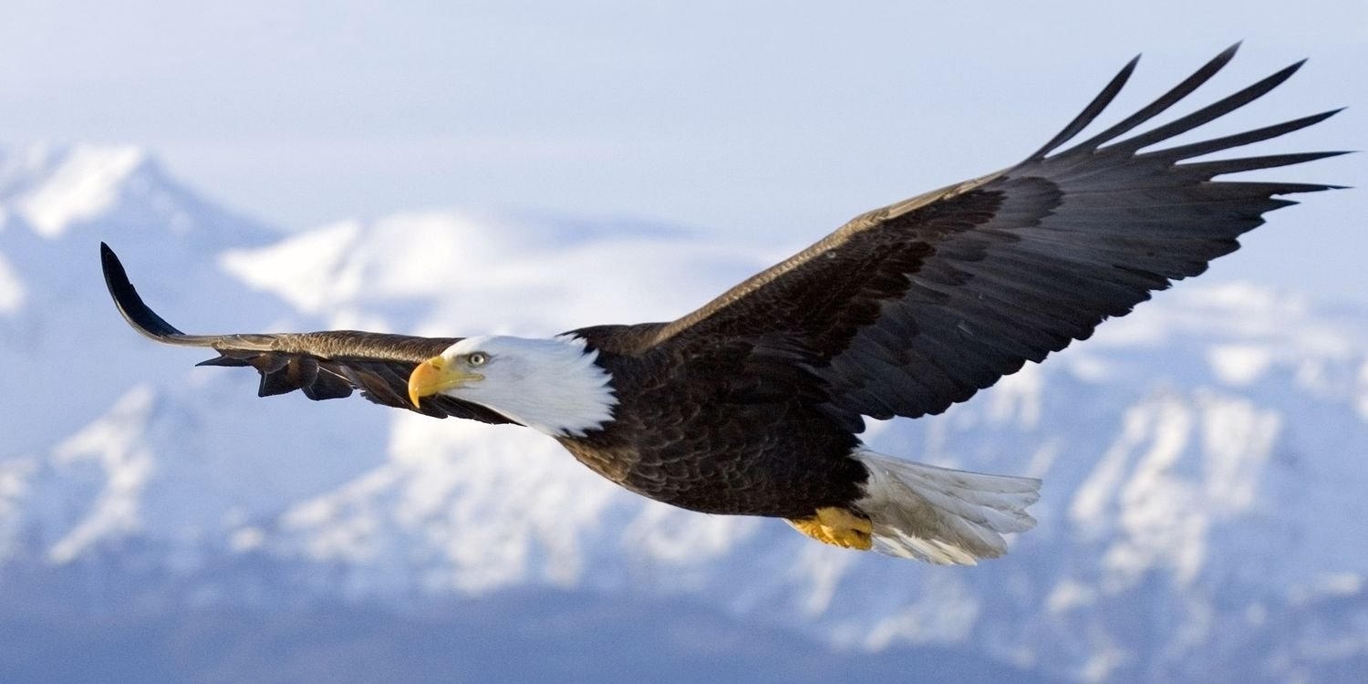 isoturkk's profile banner image
