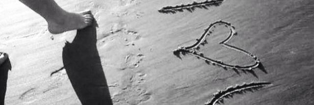 pm_ale's profile banner image