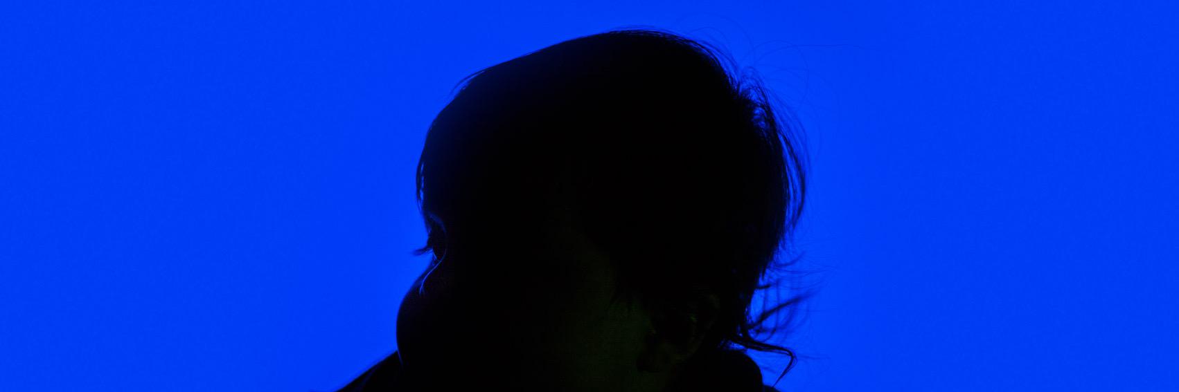 Chicaro banner