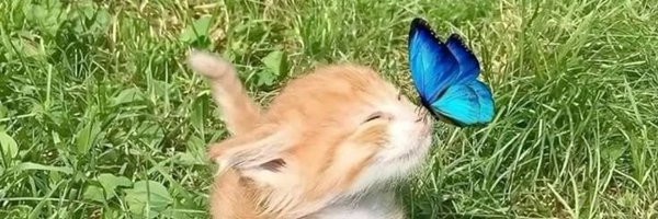 Kishakishenka Profile Banner