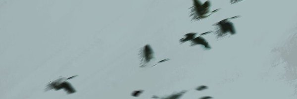 MarkDixneuf Profile Banner