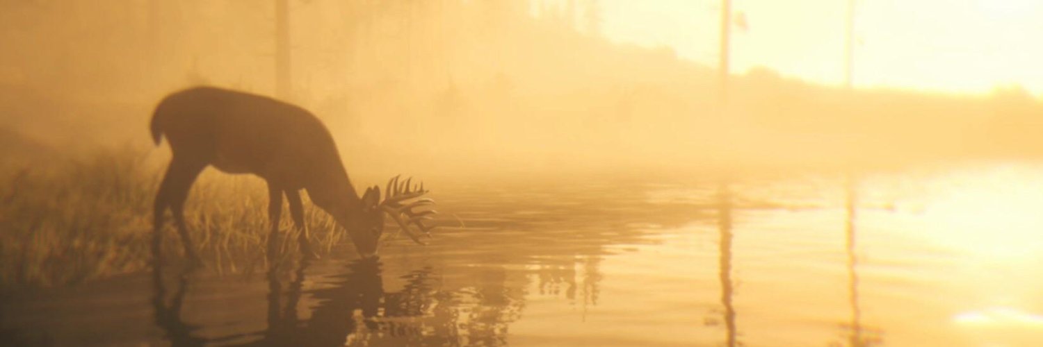 SAUL_A11's profile banner image