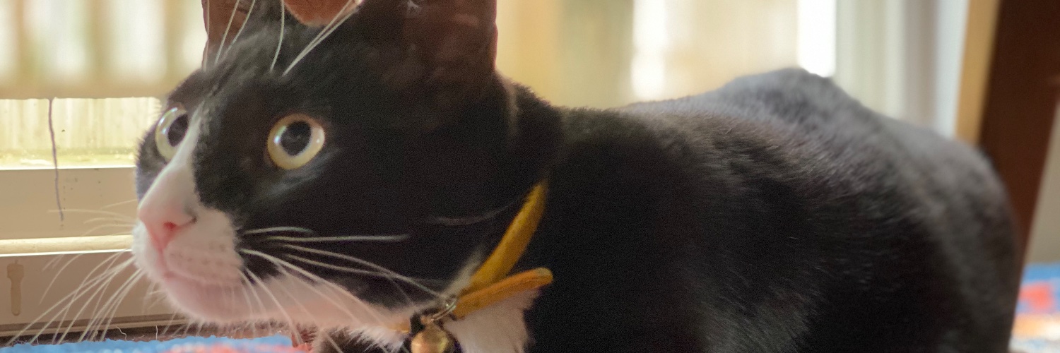 rajt's profile banner image