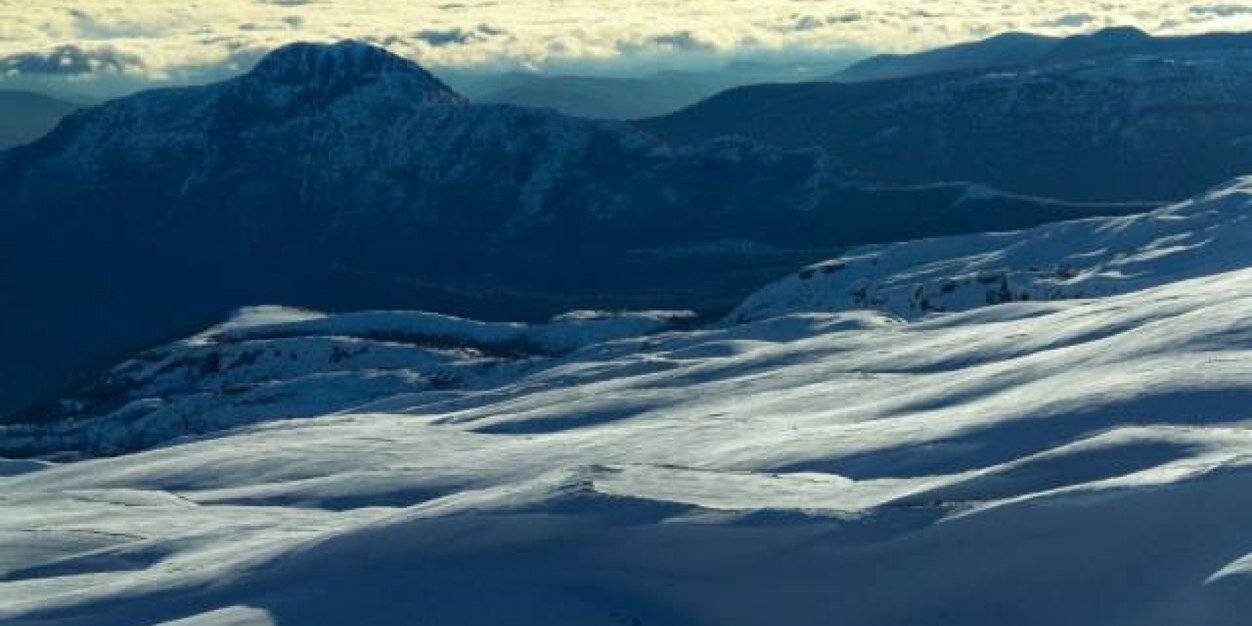 Josefina Etchevers banner