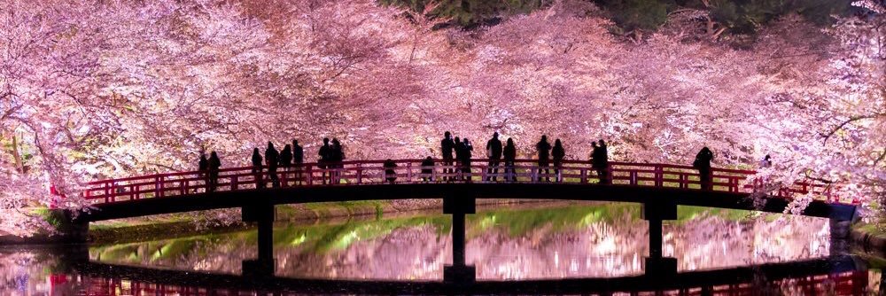 ドルチェぐすと banner