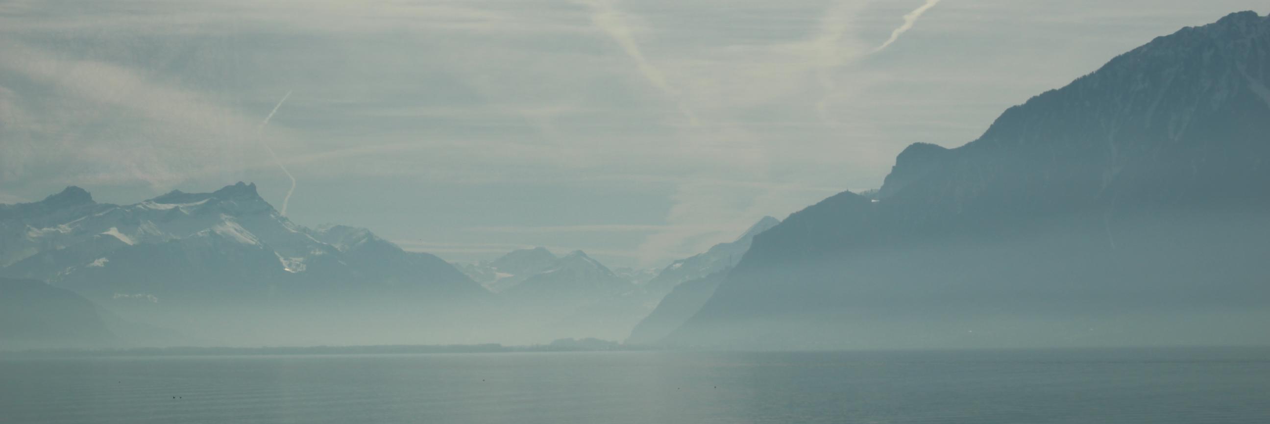 EdShiell's profile banner image