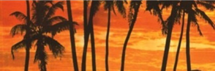 JadeCamalia's profile banner image