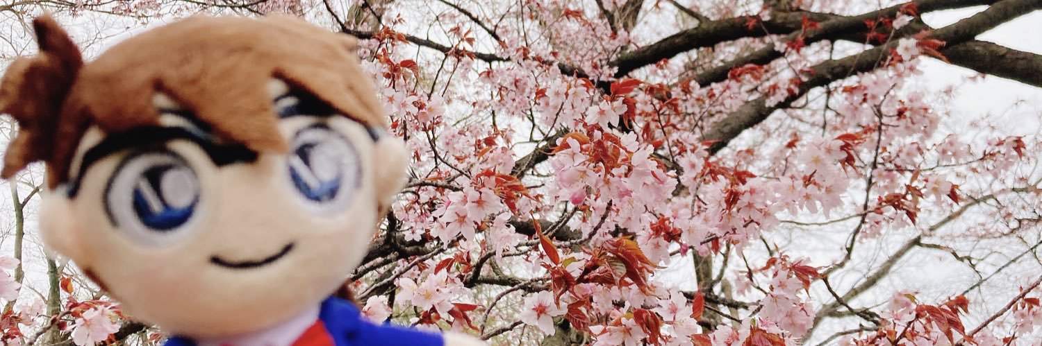 akubi_msm's profile banner image