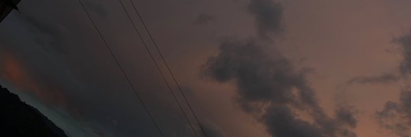 PriscilaCacha Profile Banner