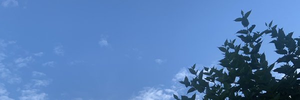 Sindkash Profile Banner
