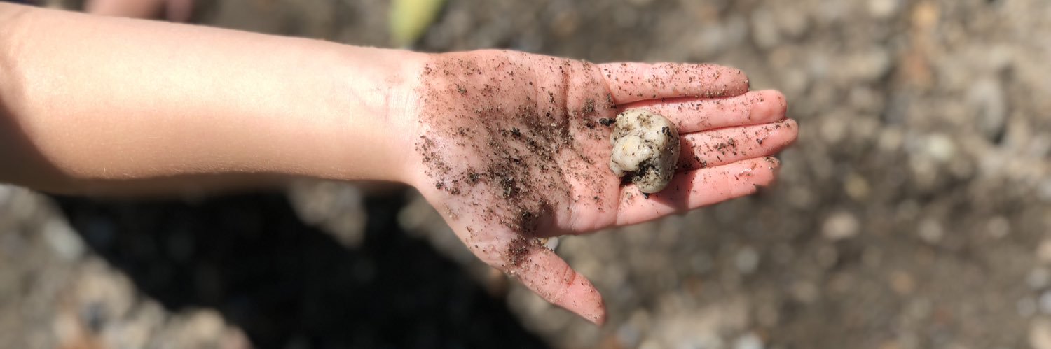 Jackie Fender (she/her) banner