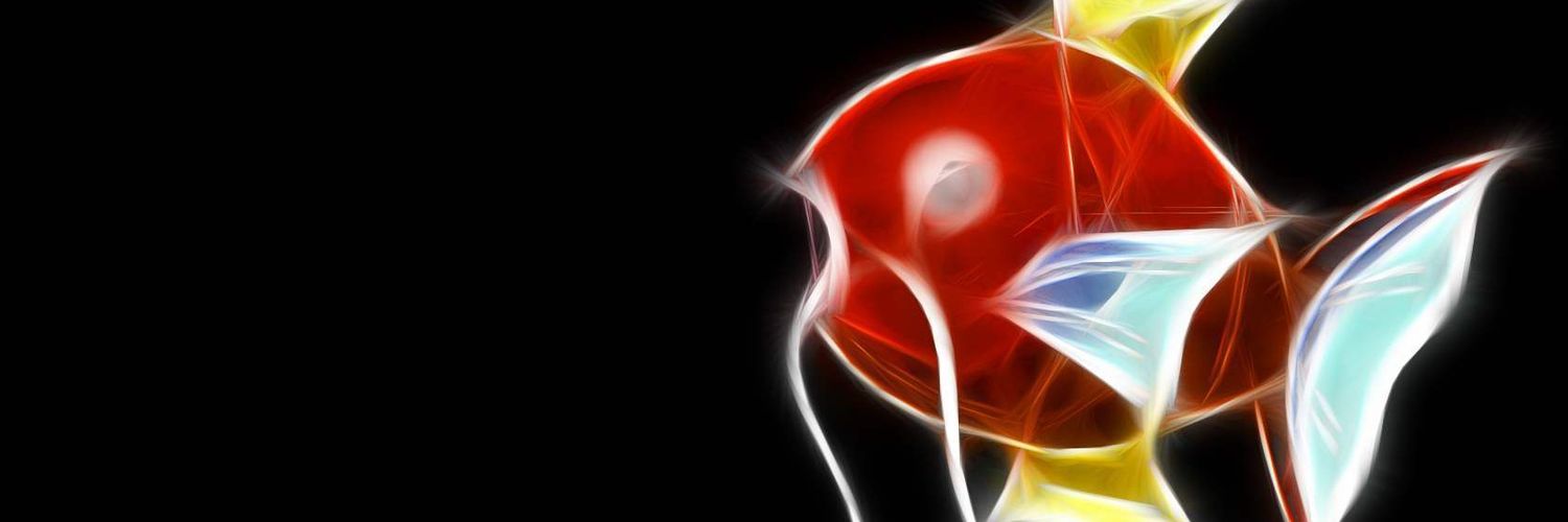 Kelly Stanaway banner