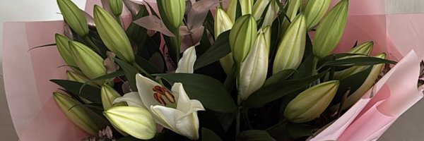 noshinkx Profile Banner