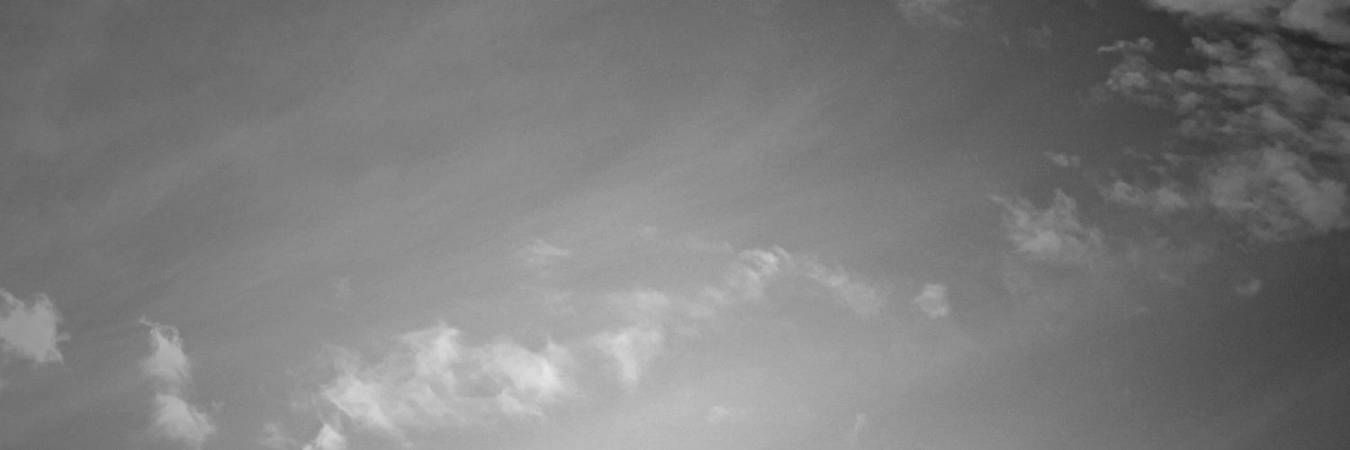 ciaoo_bee's profile banner image