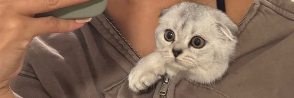 manondoceu Profile Banner