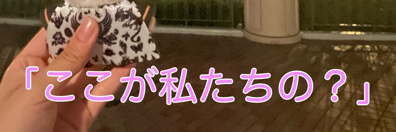 どりヰ banner