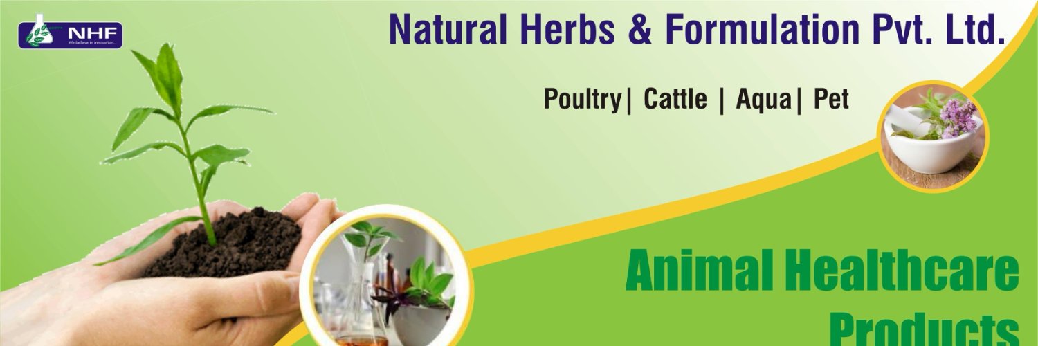 Natural Herbs and Formulations banner