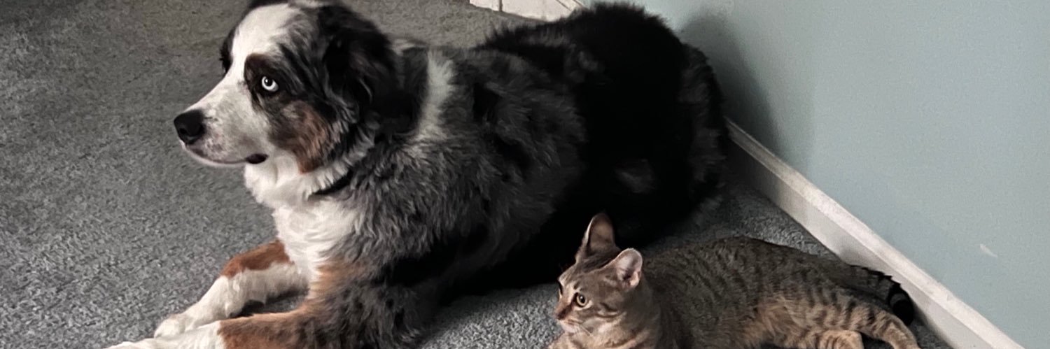 James Howerton banner