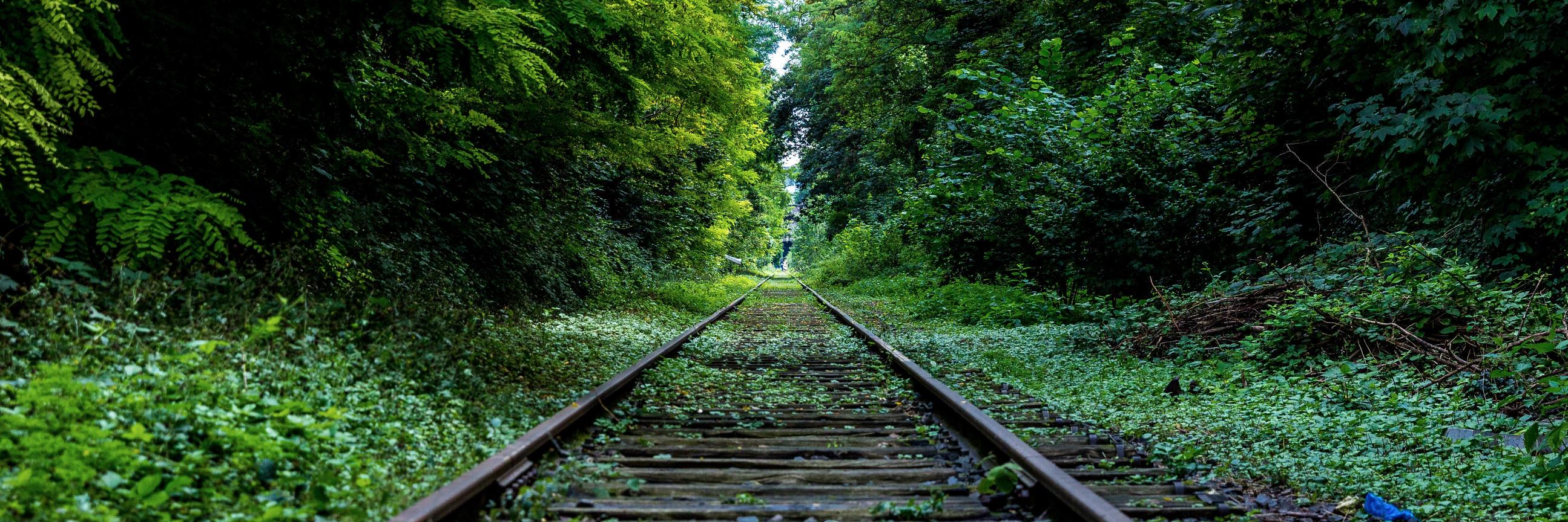 Paul Baribeau banner