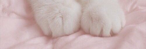🐣 banner