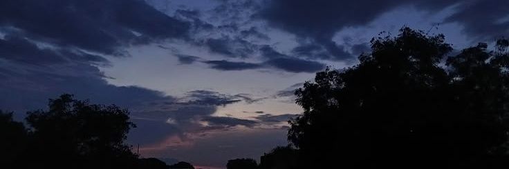 luca banner