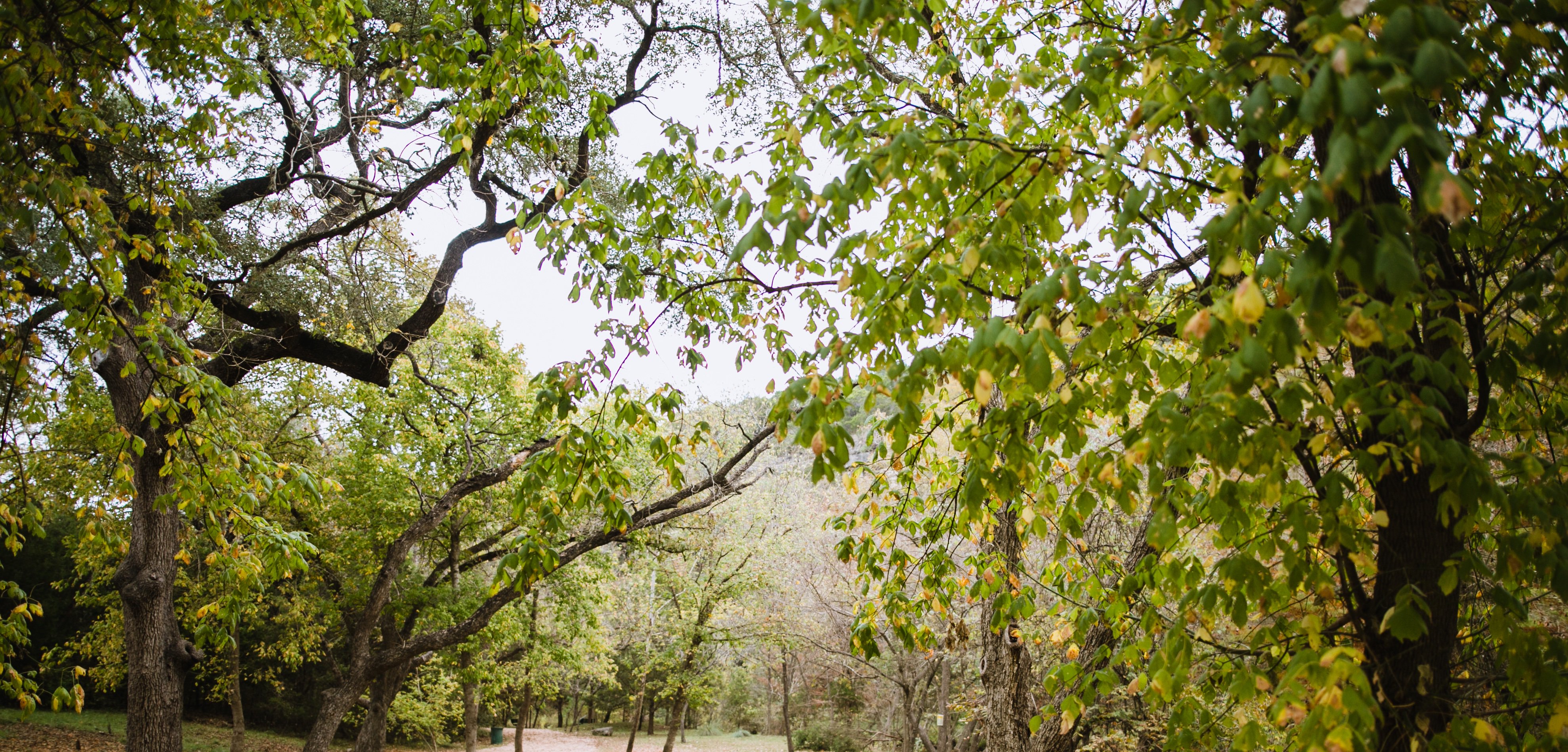 aaronortbals's profile banner image