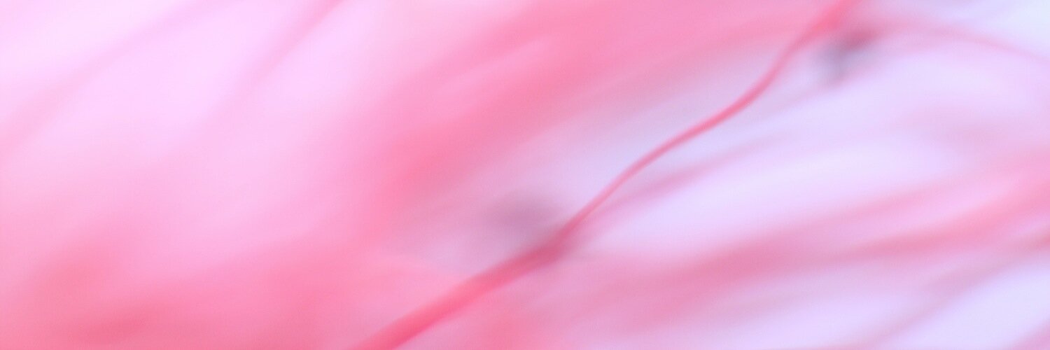 ilitta's profile banner image