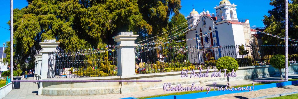 paco_tule's profile banner image