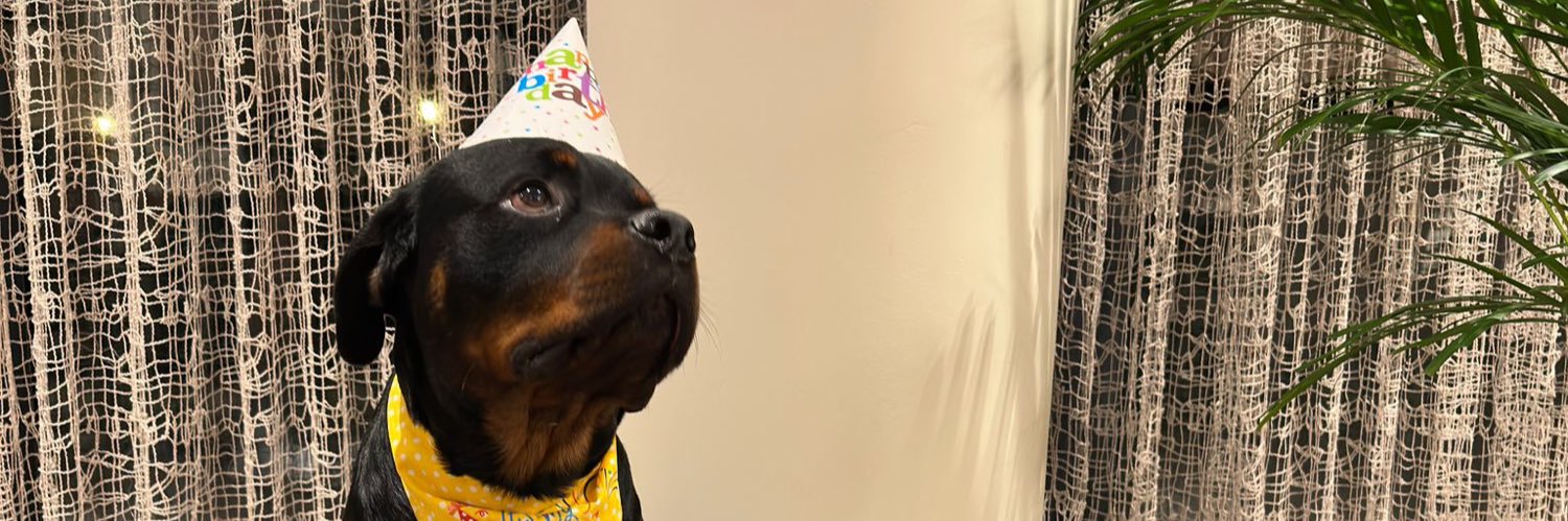 MertCelepp's profile banner image