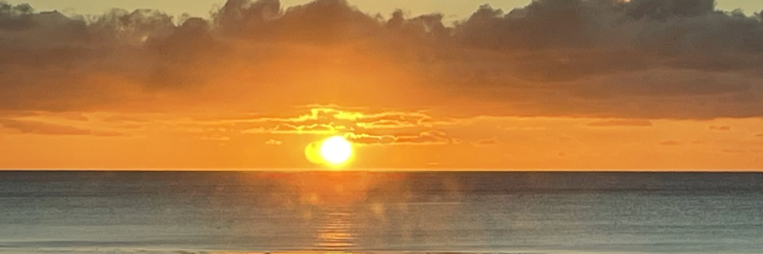lizzycholet's profile banner image
