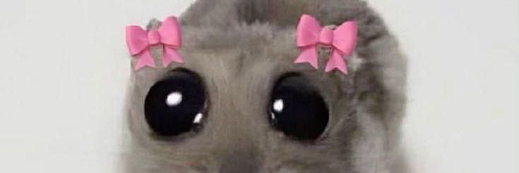 Forenooon1's profile banner image